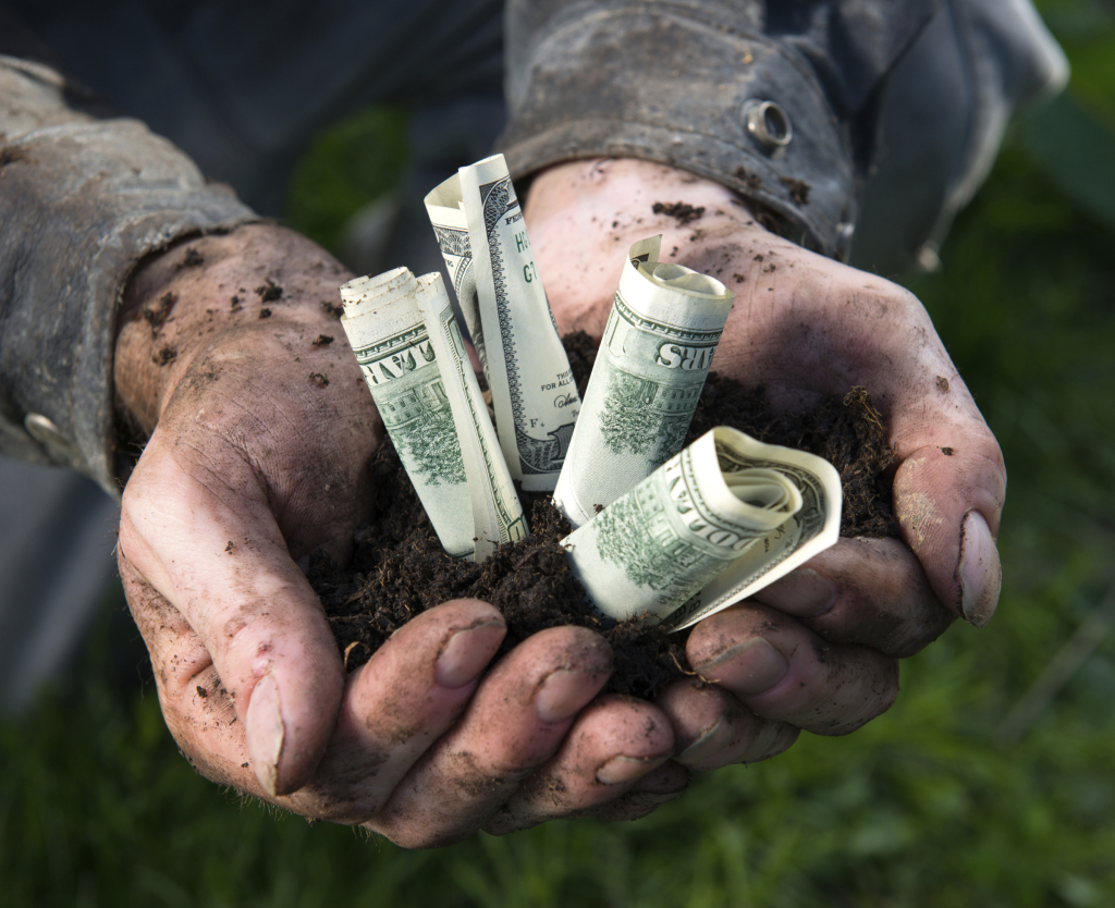 Man holding soil with dollars